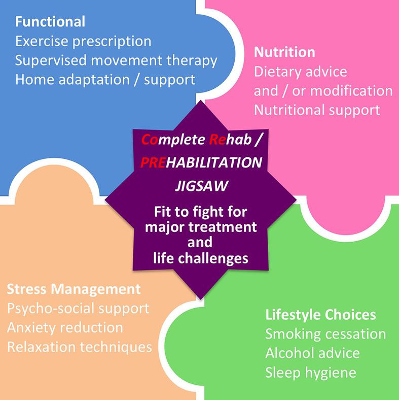 Complete Rehabilitation jigsaw