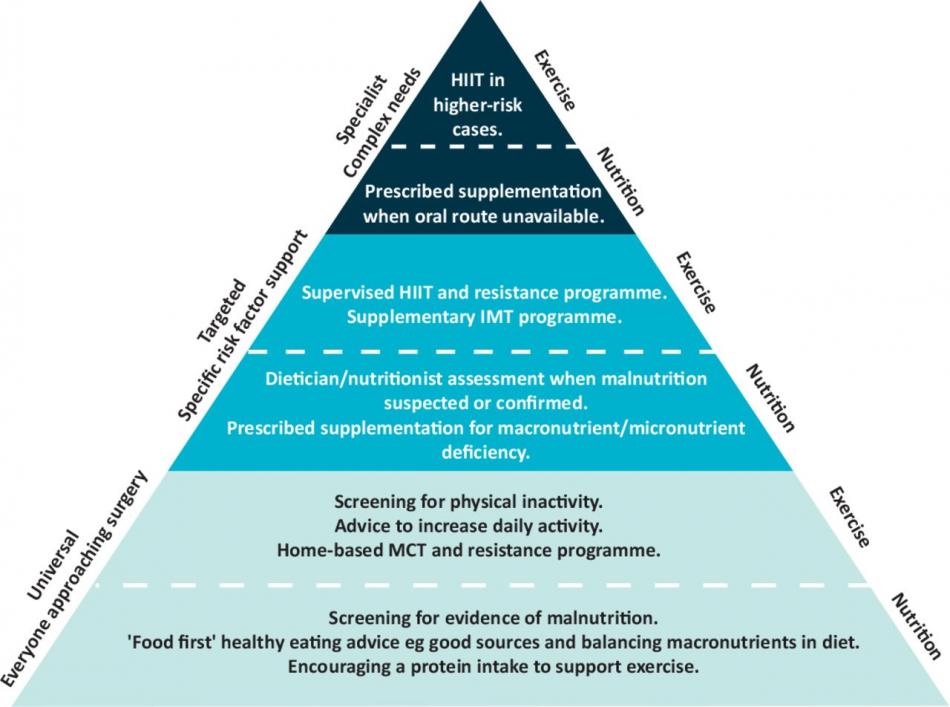 prehabilitation triangle