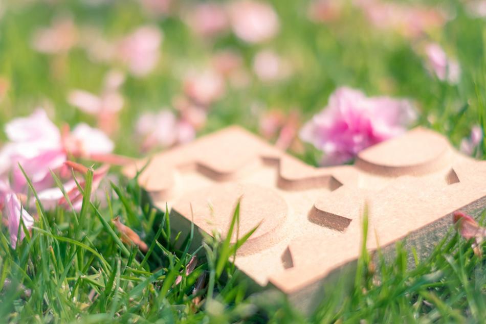 CardioQinetics 3D logo on grass with cherry petals